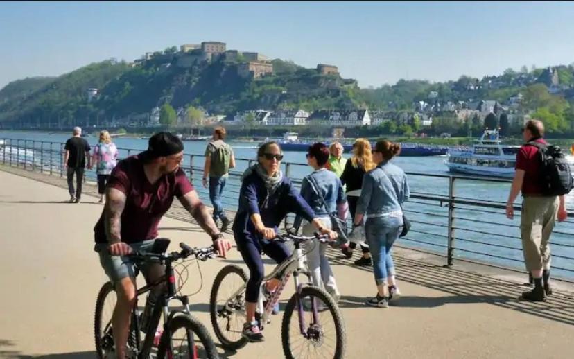 Rheinmosel Glueck 8 * Koblenz (Rhineland-Palatinate)